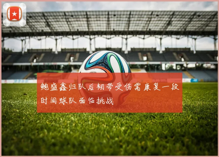 鲍盛鑫归队后韧带受伤需康复一段时间球队面临挑战