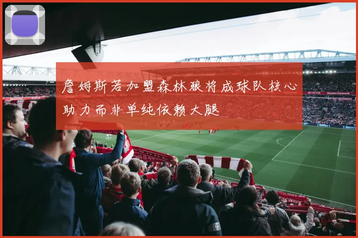 詹姆斯若加盟森林狼将成球队核心助力而非单纯依赖大腿